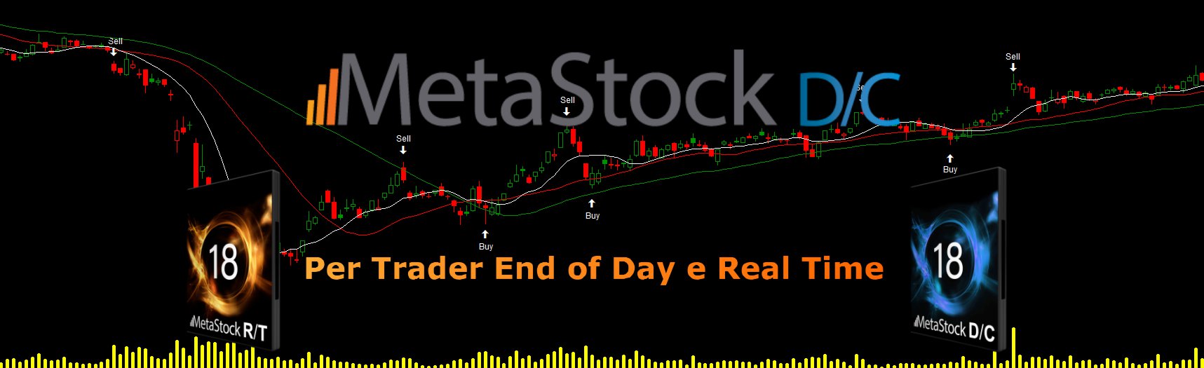 Grafico Candlestick di MetaStock con logo